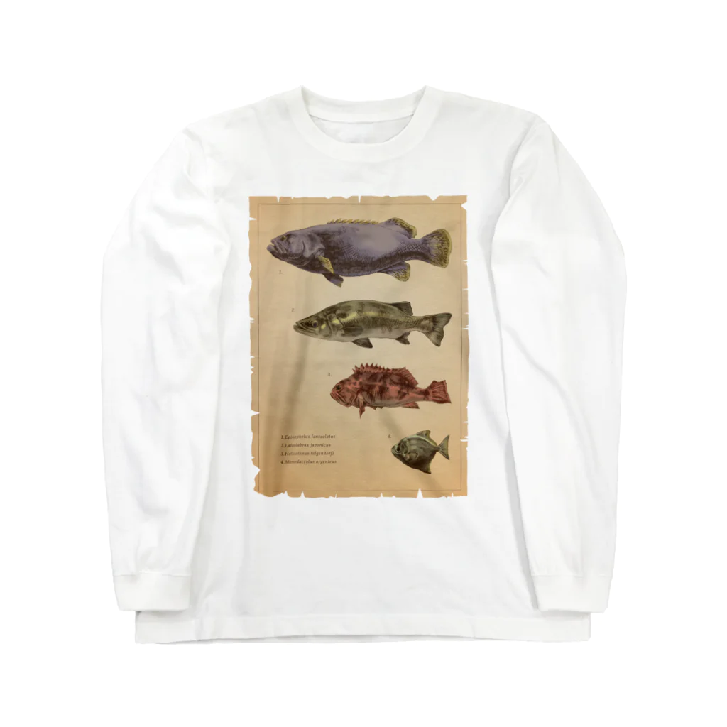 ななめやの魚類画帳 ロングスリーブTシャツ