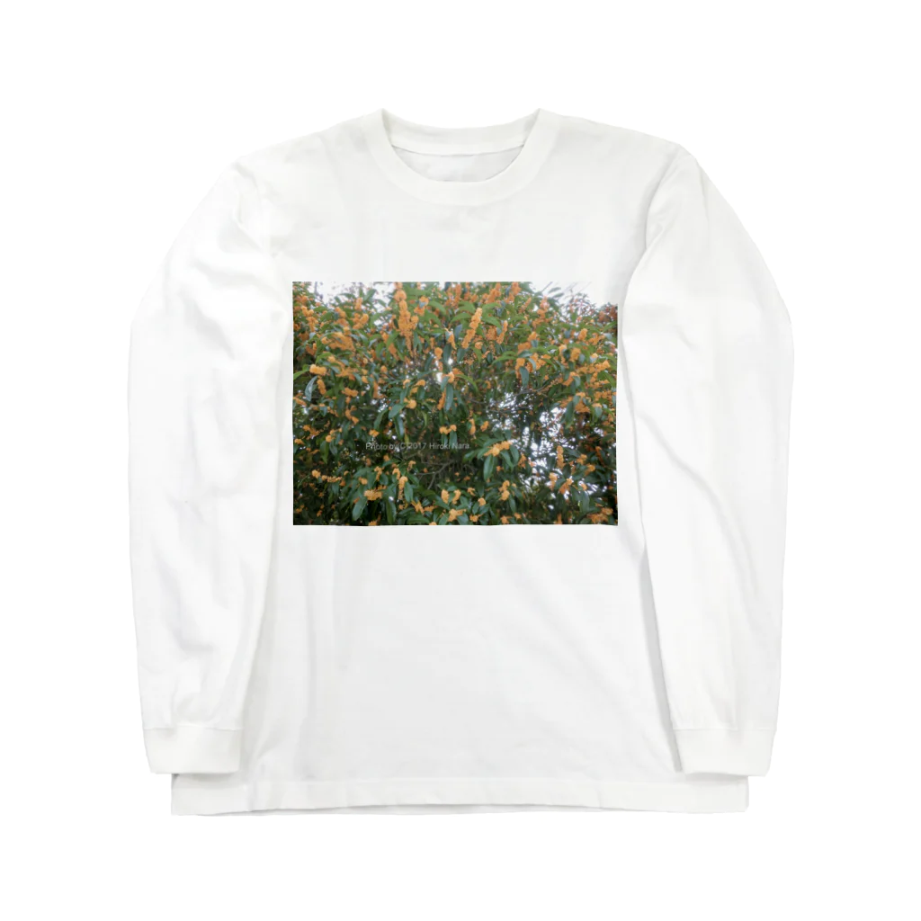 hiroki-naraの光景　sight740　キンモクセイ　金木犀　花 FLOWERS　壁紙 Long Sleeve T-Shirt