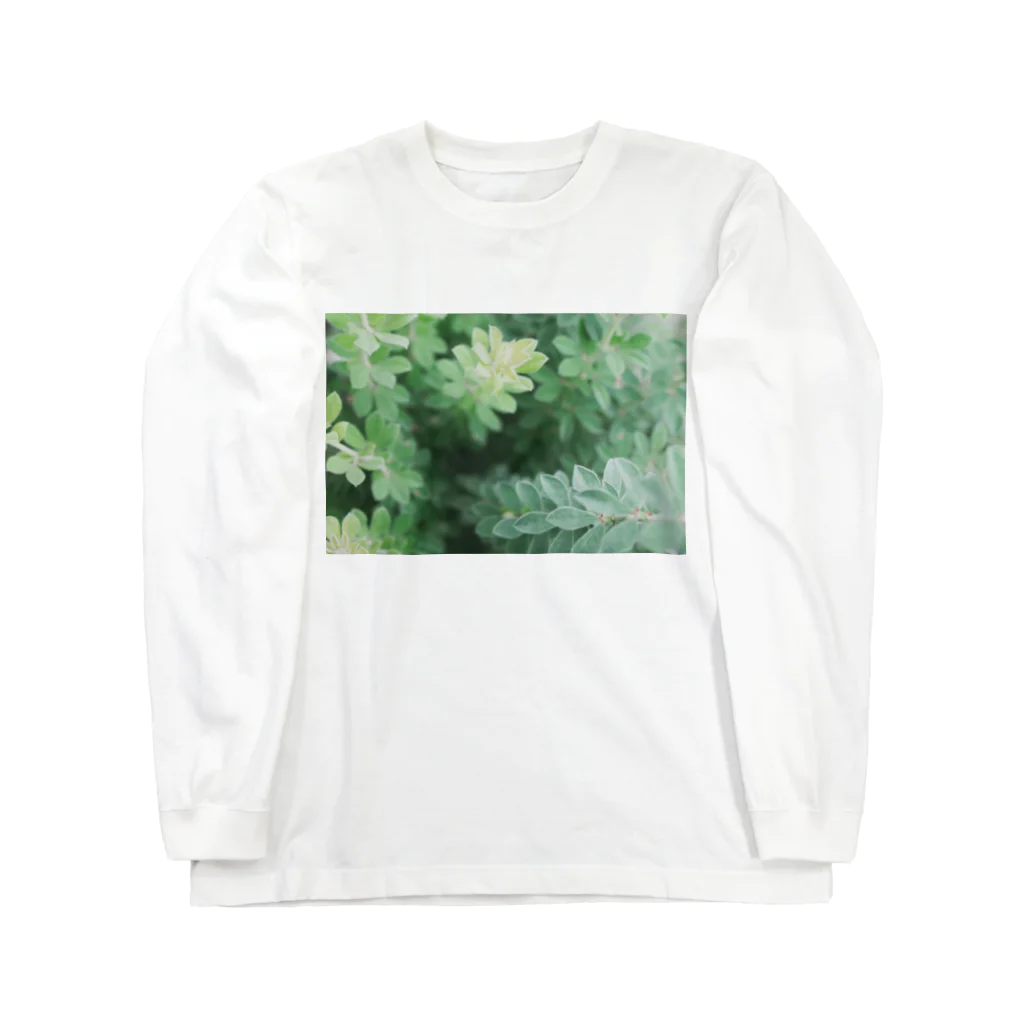TATTUの花壇の植物 ロングスリーブTシャツ