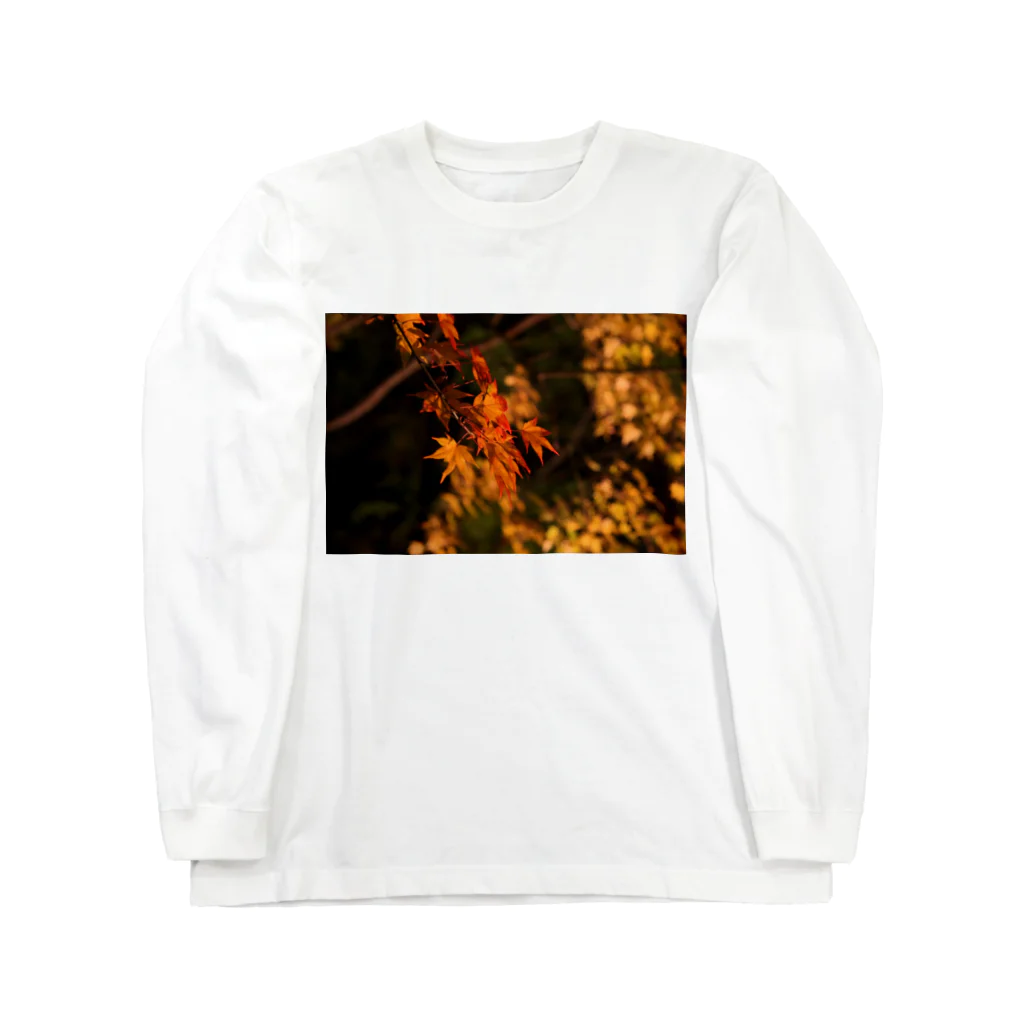 nokkccaのライトアップ紅葉 - Japanese maple(night shot) - ロングスリーブTシャツ