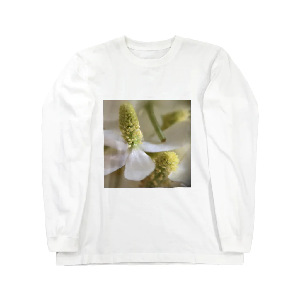 おとうふの白い追憶 Long Sleeve T-Shirt