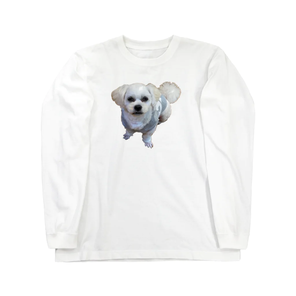 ソラプーのイケメン犬 롱 슬리브 티셔츠