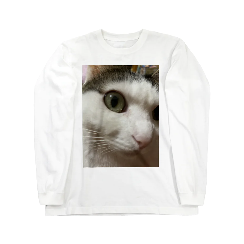 わが家の猫山さん。の猫山さん。はるがきた。 Long Sleeve T-Shirt