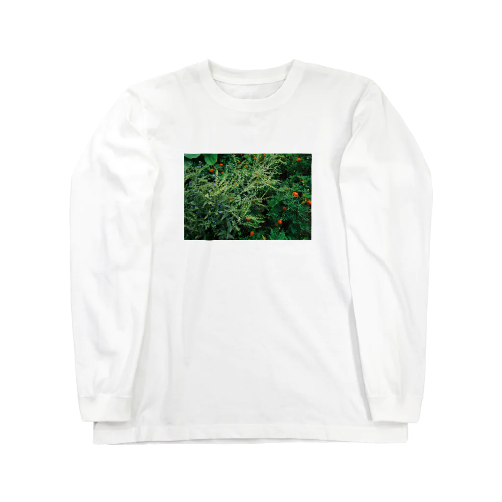 中島屋の庭の花 ロングスリーブTシャツ