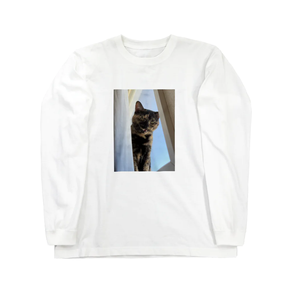 燕麦のｶﾞｵ~ｯ Long Sleeve T-Shirt