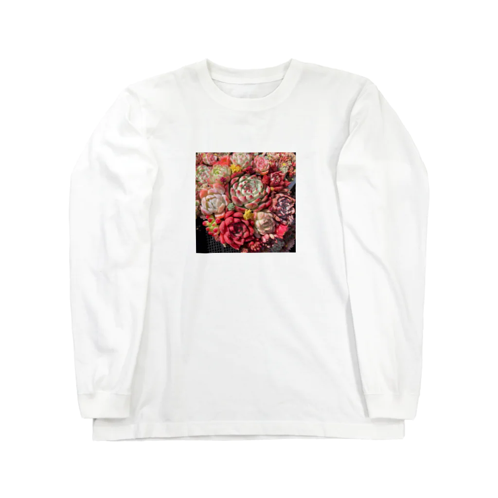 Echeveria_Masterの華やかなエケベリア Long Sleeve T-Shirt