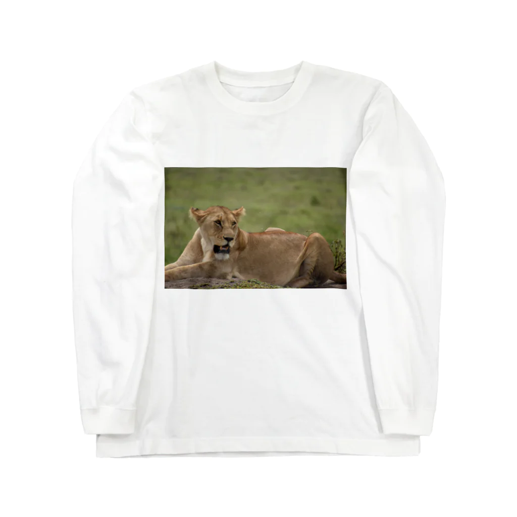 mayura_photoのサバンナのメスライオン Long Sleeve T-Shirt