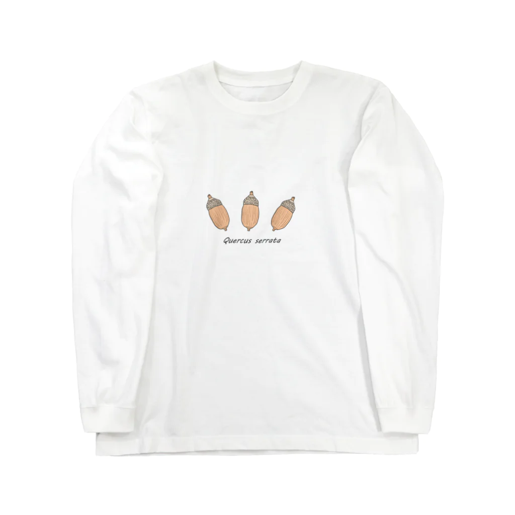 Silver Grassのドングリシリーズ【コナラ Quercus serrata】 Long Sleeve T-Shirt