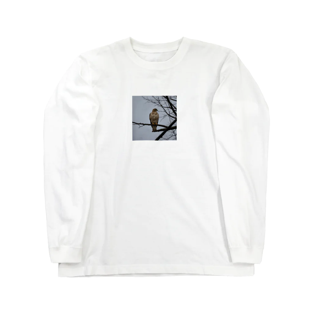 ganeshaの天候の変化に備えるタカ Long Sleeve T-Shirt