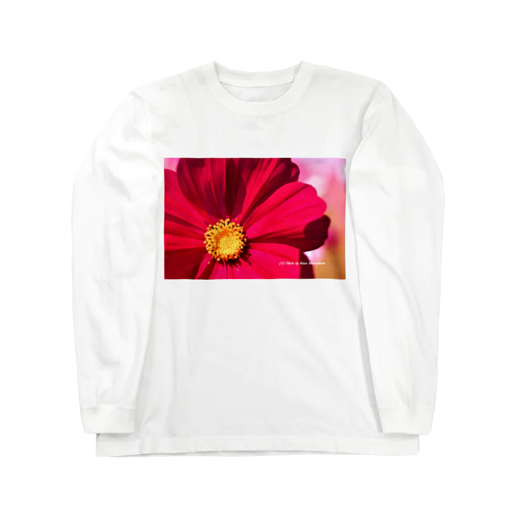 BUHI Shop ふれぶるルーくんのコスモスフォトグラファー Long Sleeve T-Shirt