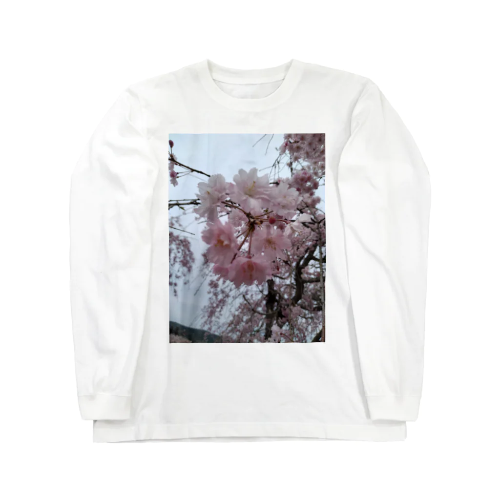 umejirouのさくら満開 Long Sleeve T-Shirt