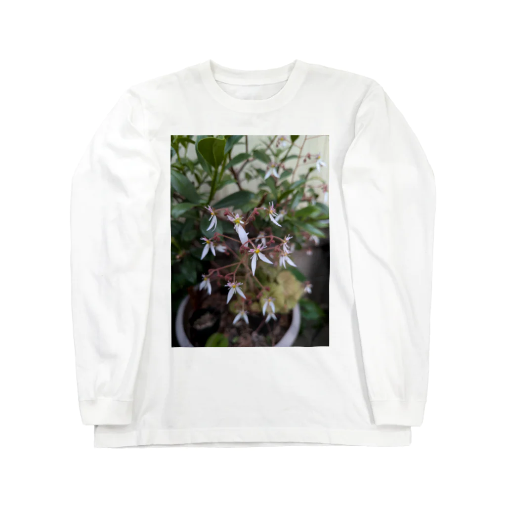 ミクロのユキノシタのお花が可愛らしい〜 Long Sleeve T-Shirt