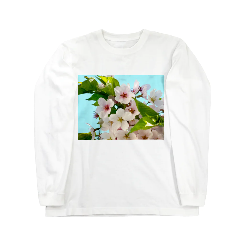 atelier_lapislazuliの桜 ロングスリーブTシャツ