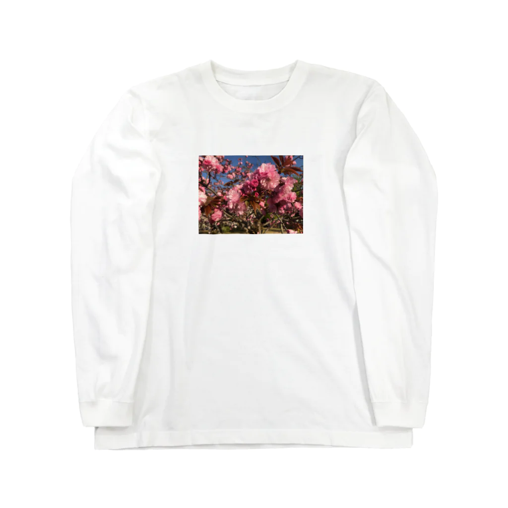 fleurirの花 ピンク 写真 Long Sleeve T-Shirt