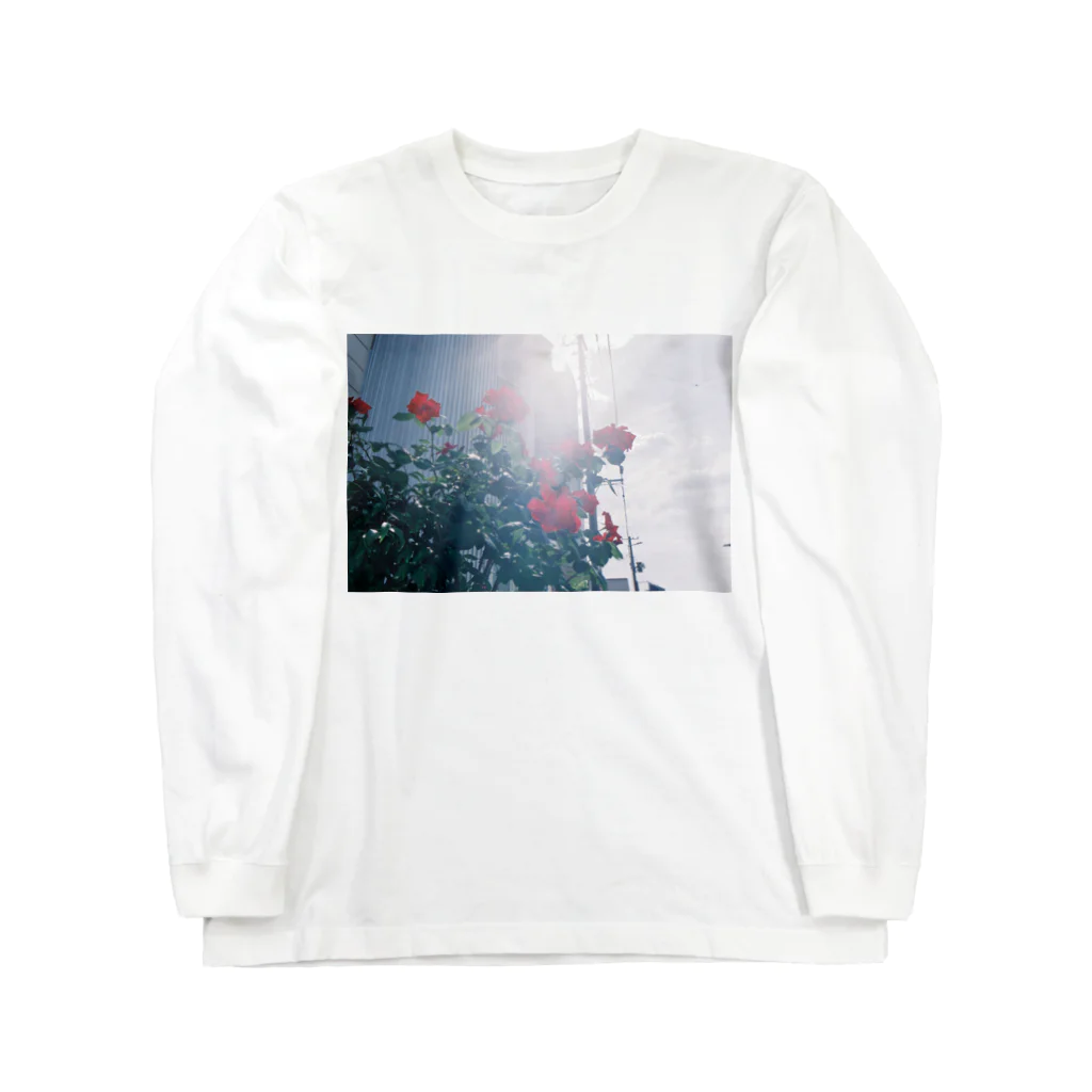 kio photo worksのFlower illuminated by sunlight ロングスリーブTシャツ