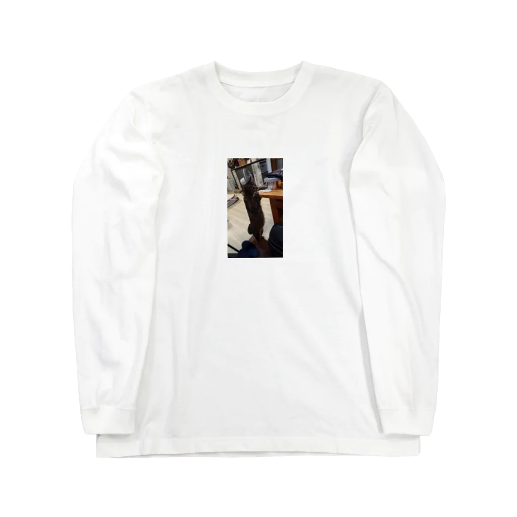 karinto3の虎ちゃんのぽっちゃりおなか Long Sleeve T-Shirt