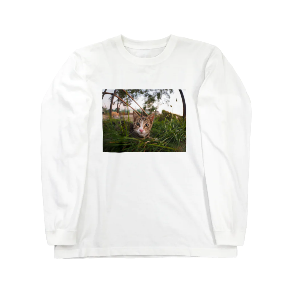 のら猫屋さんののらこねこ Long Sleeve T-Shirt