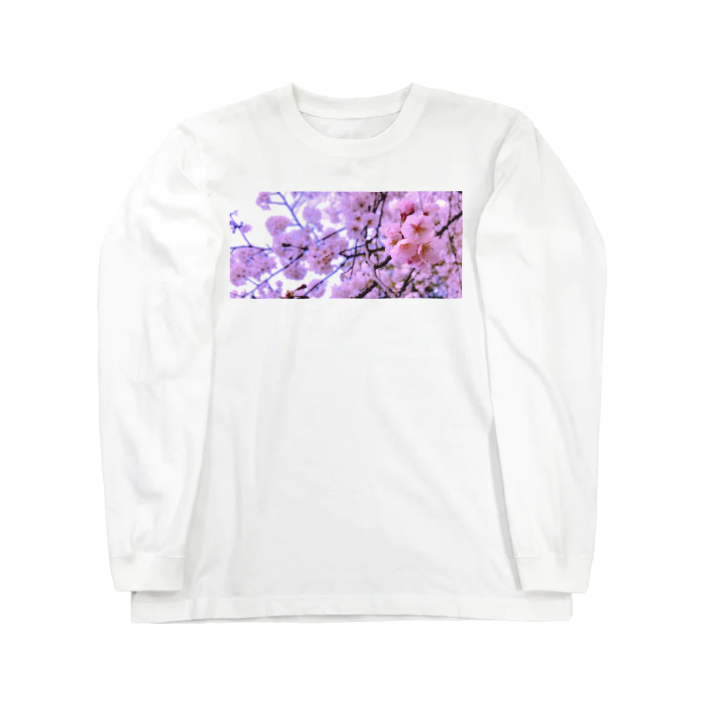 砂漠のsakura(ko)2019  ロングスリーブTシャツ