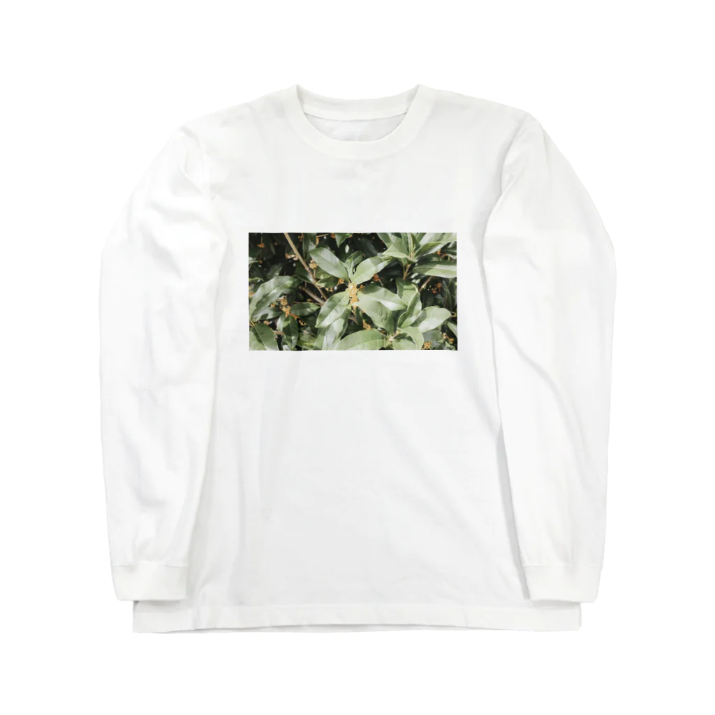 おはようの金木犀の朝 Long Sleeve T-Shirt