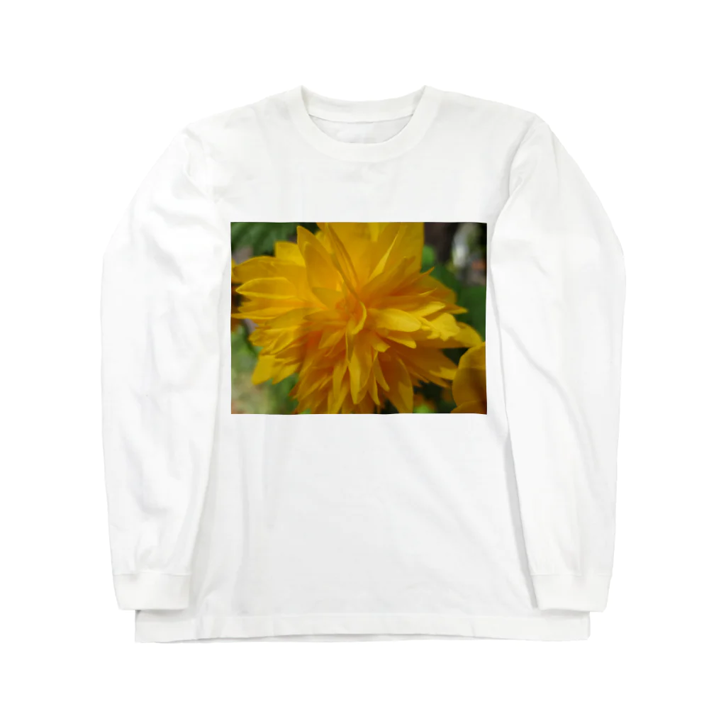 Dreamscape(LUNA)の輝きを求めて・・・ Long Sleeve T-Shirt