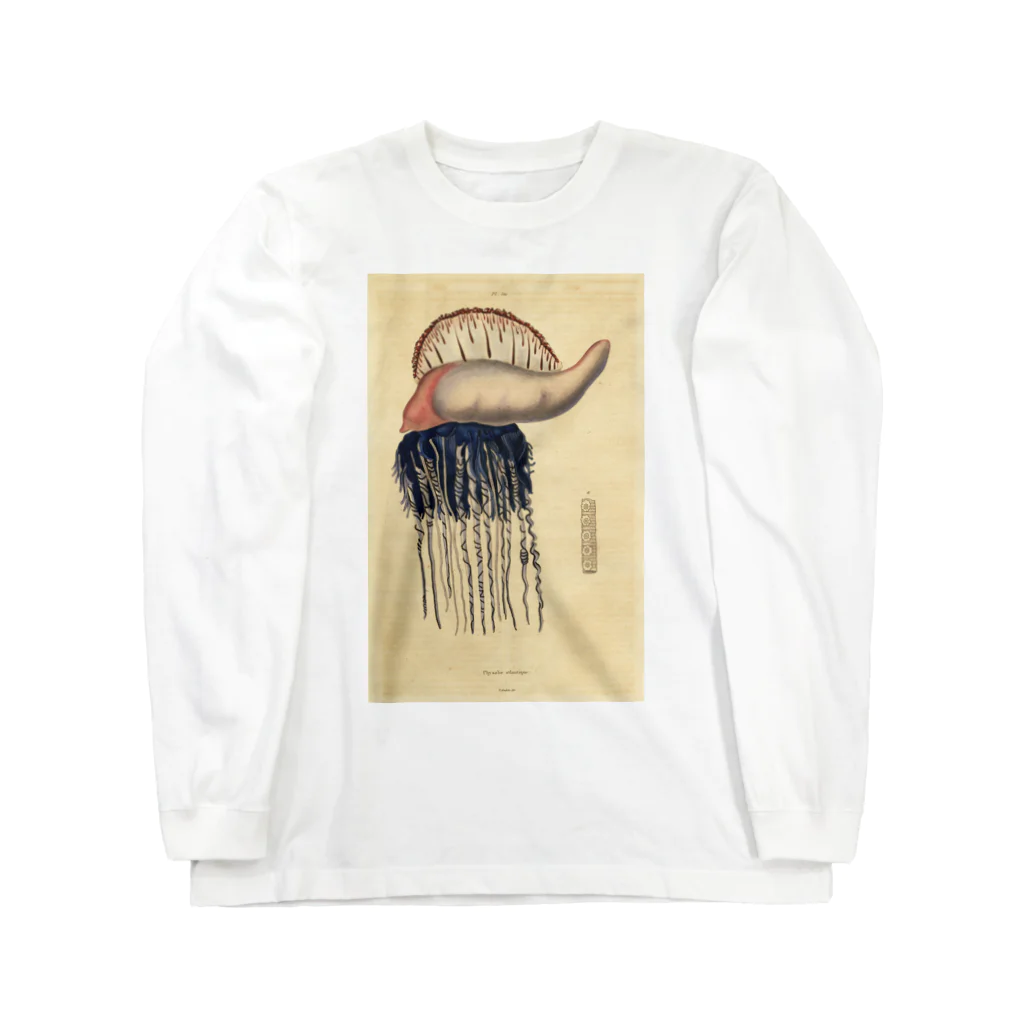 J. Jeffery Print Galleryのクラゲ Long Sleeve T-Shirt