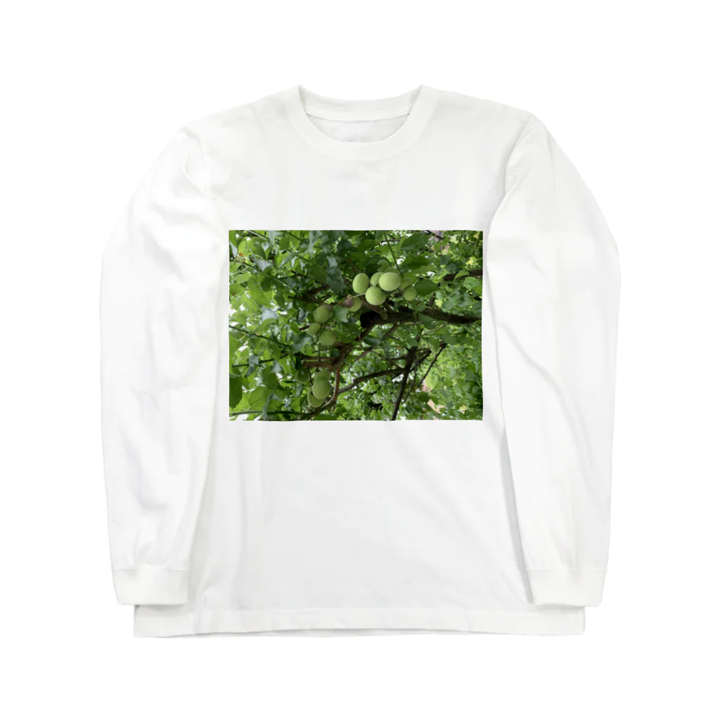 もうのwagayanoume Long Sleeve T-Shirt