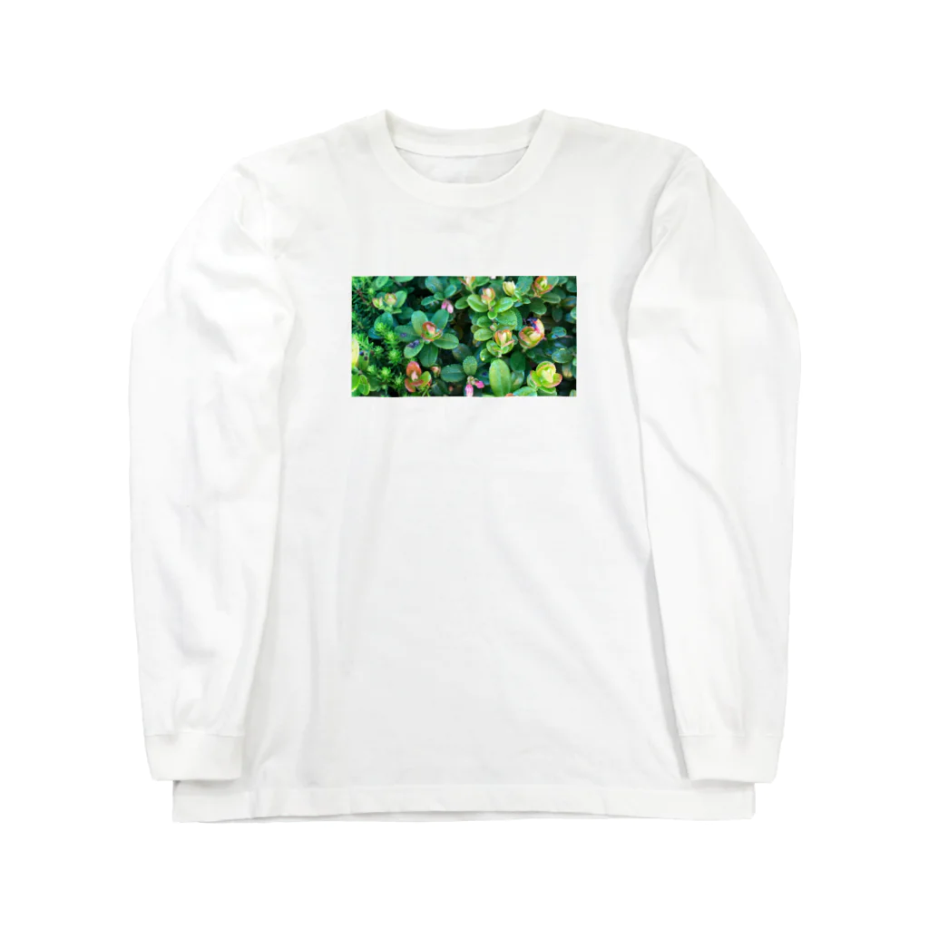 megu0328の乗鞍岳の高山植物 ロングスリーブTシャツ