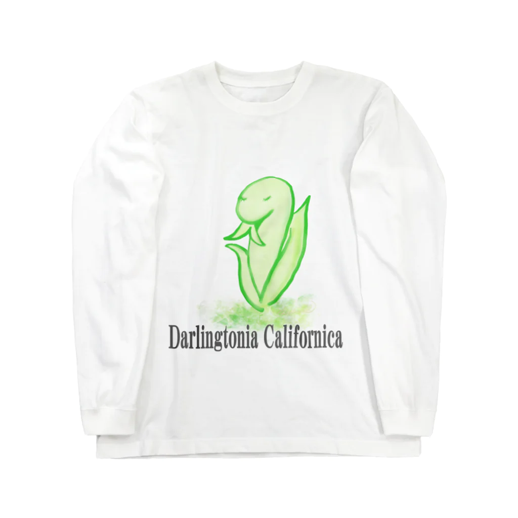 天使のやすらぎのDarlingtonia Californica ロングスリーブTシャツ