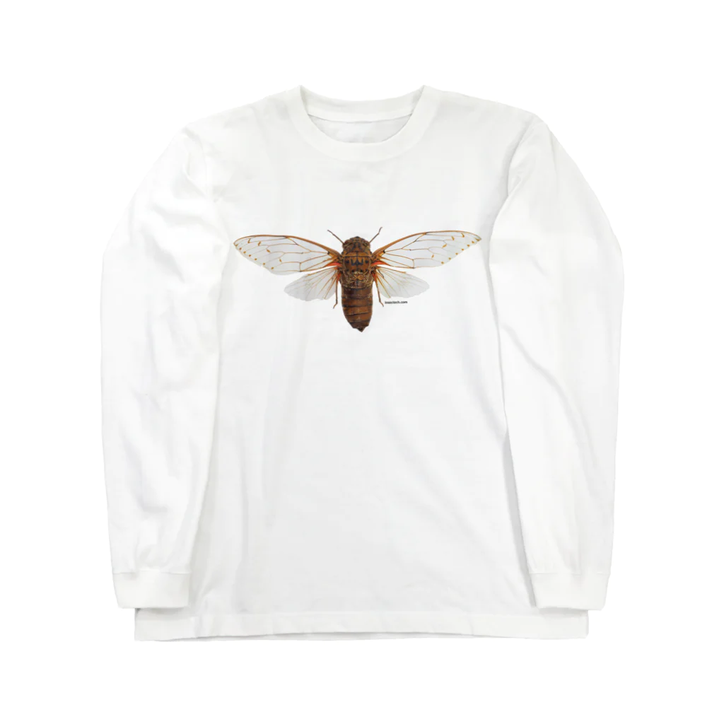 insectech.comのテイオウゼミ ロングスリーブTシャツ