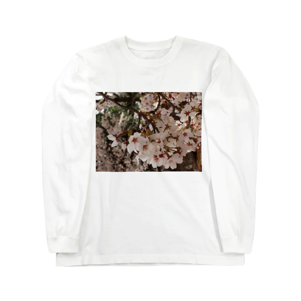 hiroki-naraの桜　サクラ　cherry blossom DATA_P_152　春　spring ロングスリーブTシャツ