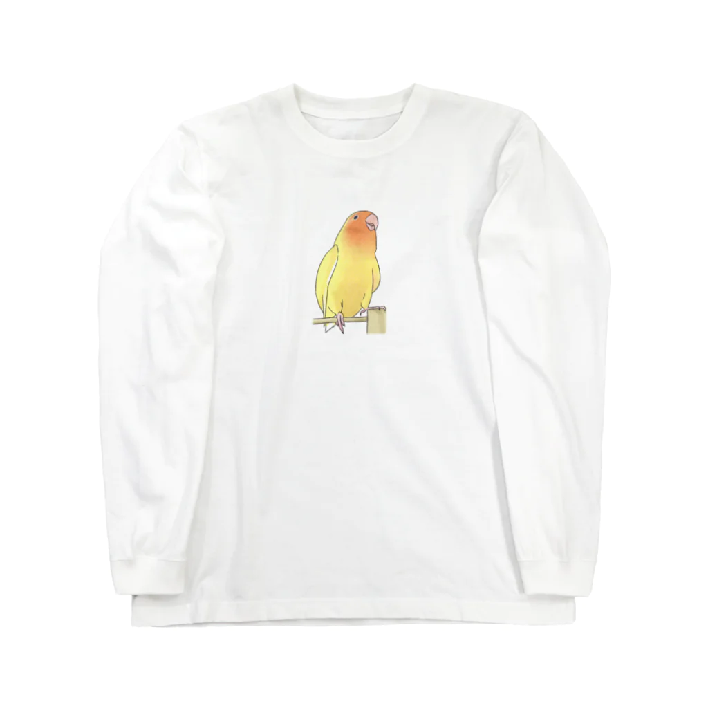 まめるりはことりの得意げ可愛い　コザクラインコちゃん【まめるりはことり】 ロングスリーブTシャツ