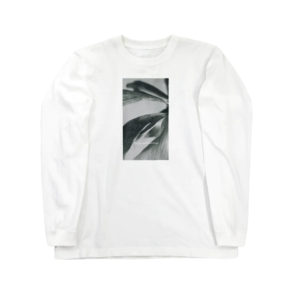 趣味Tのビカクシダ Long Sleeve T-Shirt