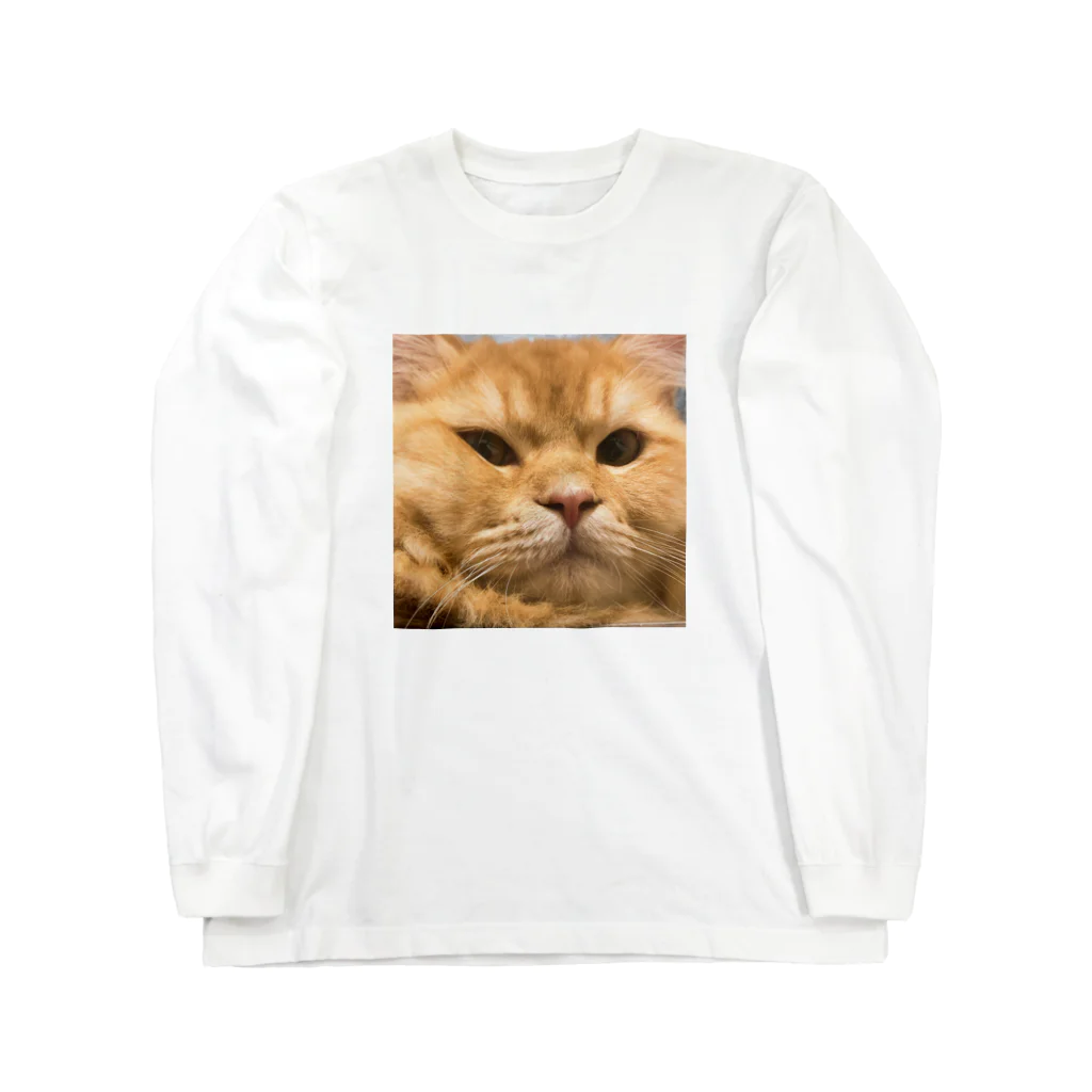 ビスコのうちのねこ Long Sleeve T-Shirt