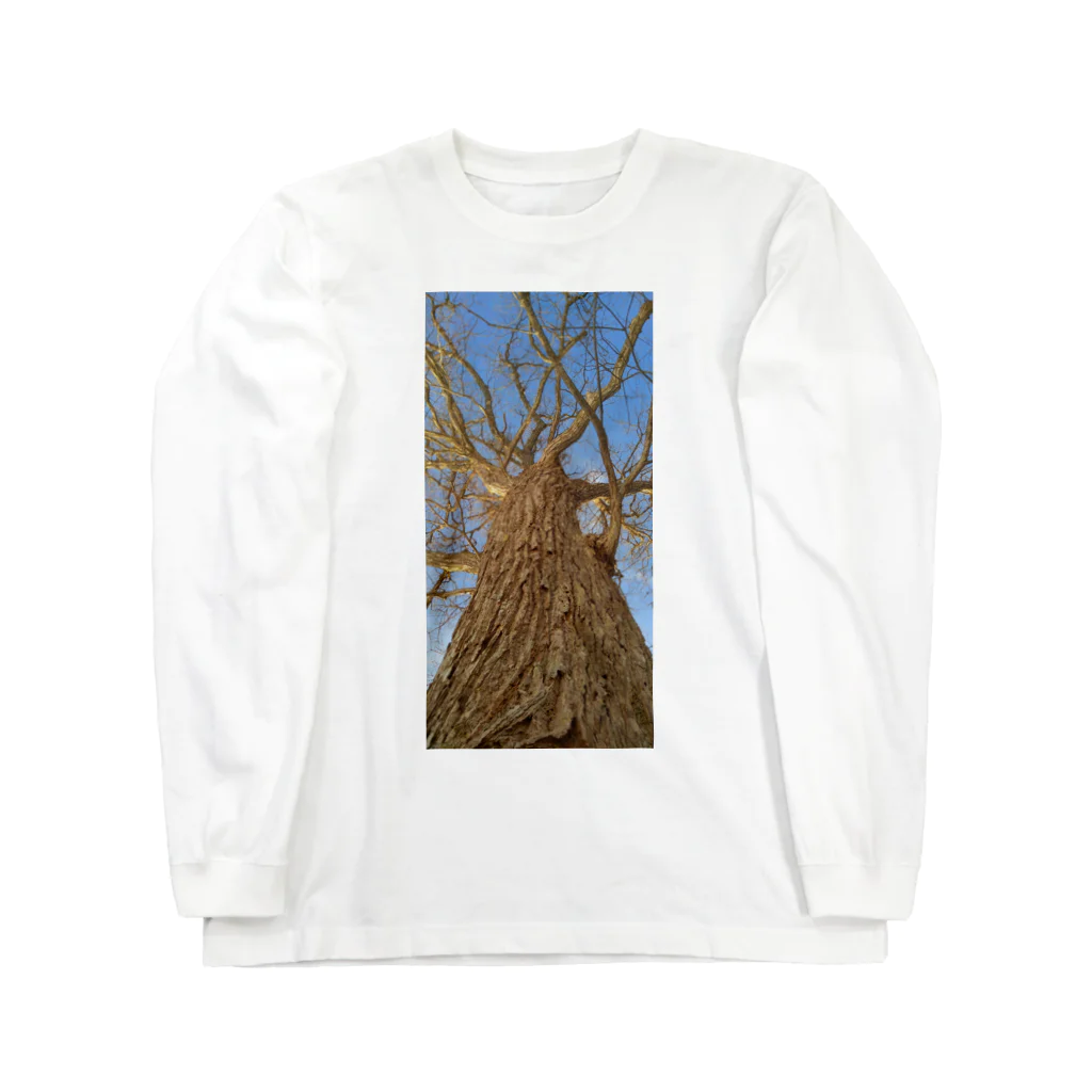 kenny's gift shopのWinter Tree on Blue sky ロングスリーブTシャツ