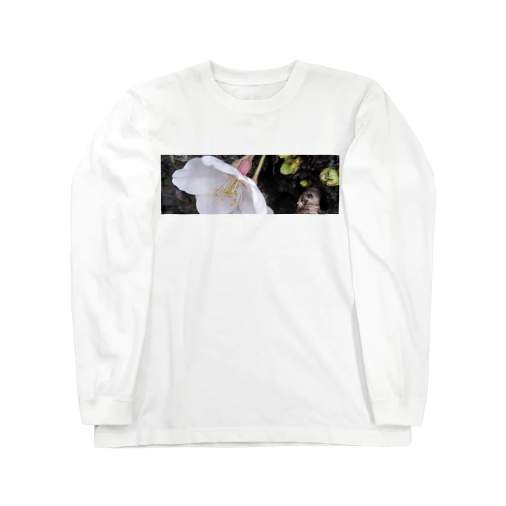 今井康絵公式ショップのサクラの夢 Long Sleeve T-Shirt