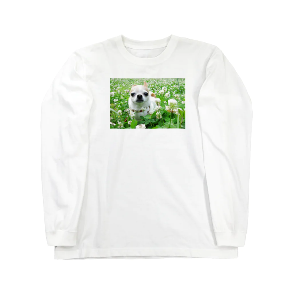 akane_art（茜音工房）のカラフルチワワ（クローバー） Long Sleeve T-Shirt