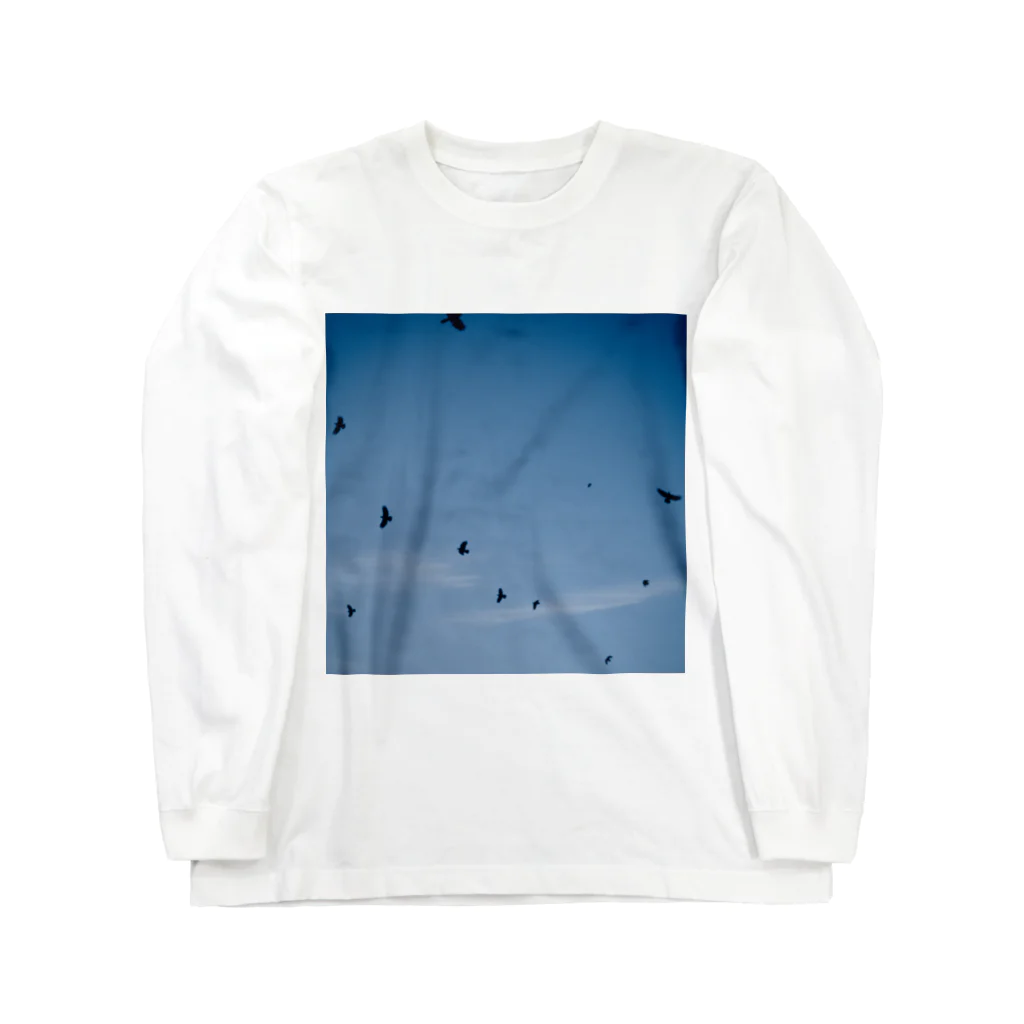 jordanniのlittle shopのA POEM - Chaos even in the sky ロングスリーブTシャツ