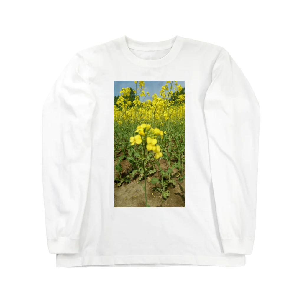 若葉のつぼみの菜の花のんびり Long Sleeve T-Shirt