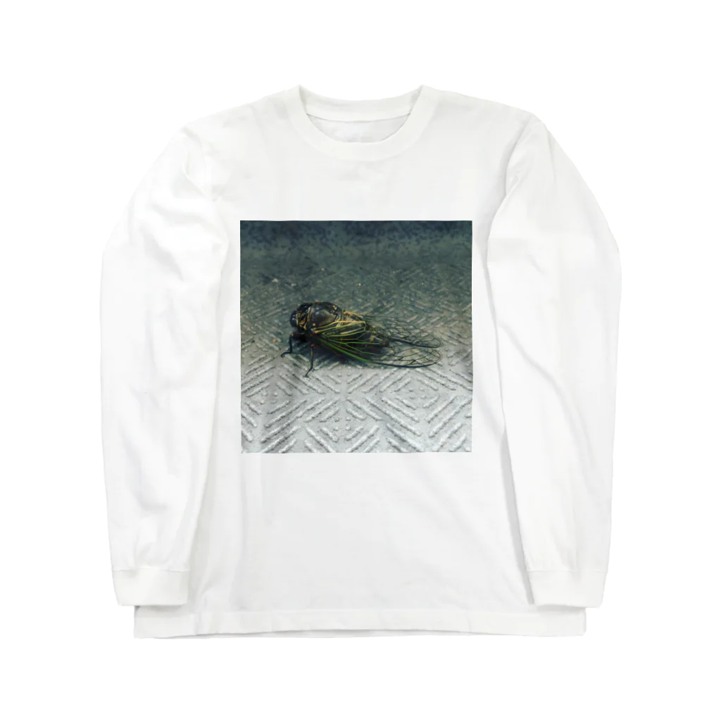 zula_tokyoのクマゼミ Long Sleeve T-Shirt