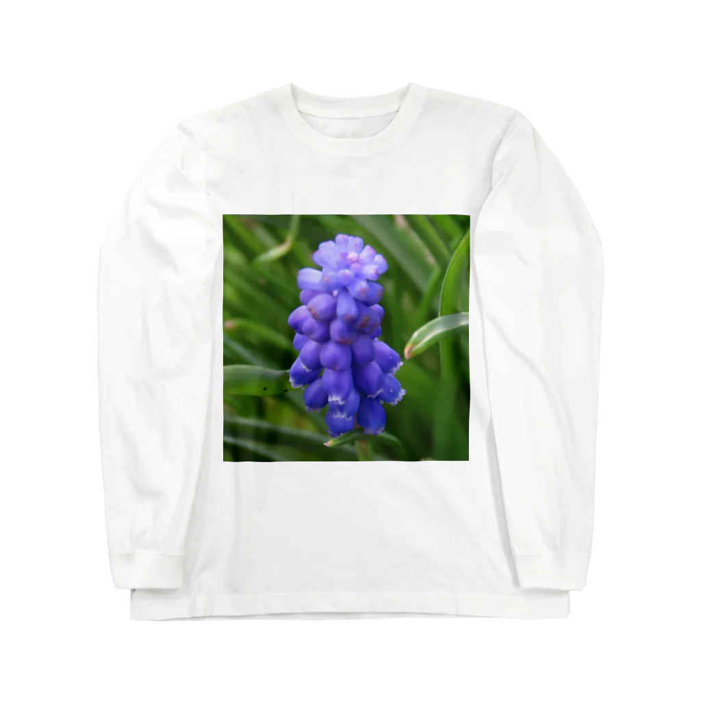 でおきしりぼ子の実験室のMuscari botryoides(1:1) ロングスリーブTシャツ