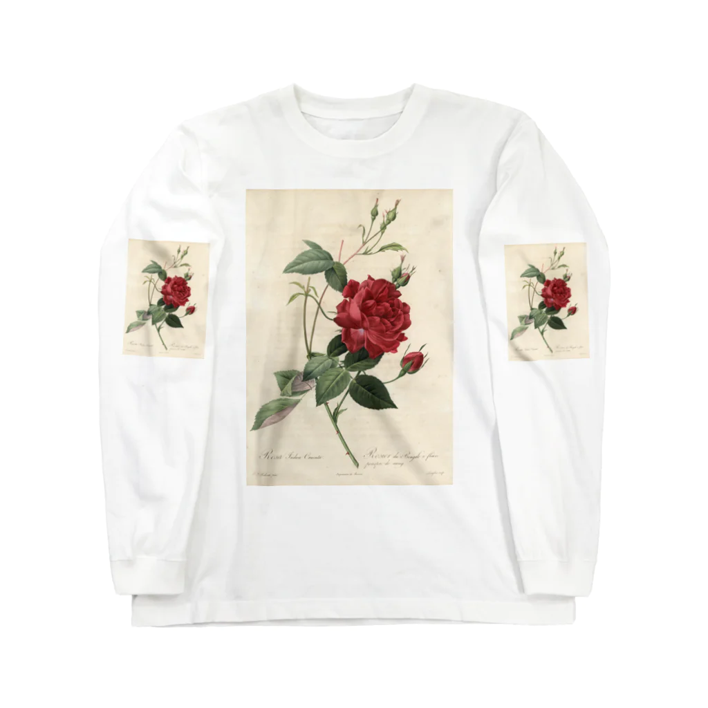 J. Jeffery Print Galleryのルドゥーテ「バラ図譜」 Long Sleeve T-Shirt