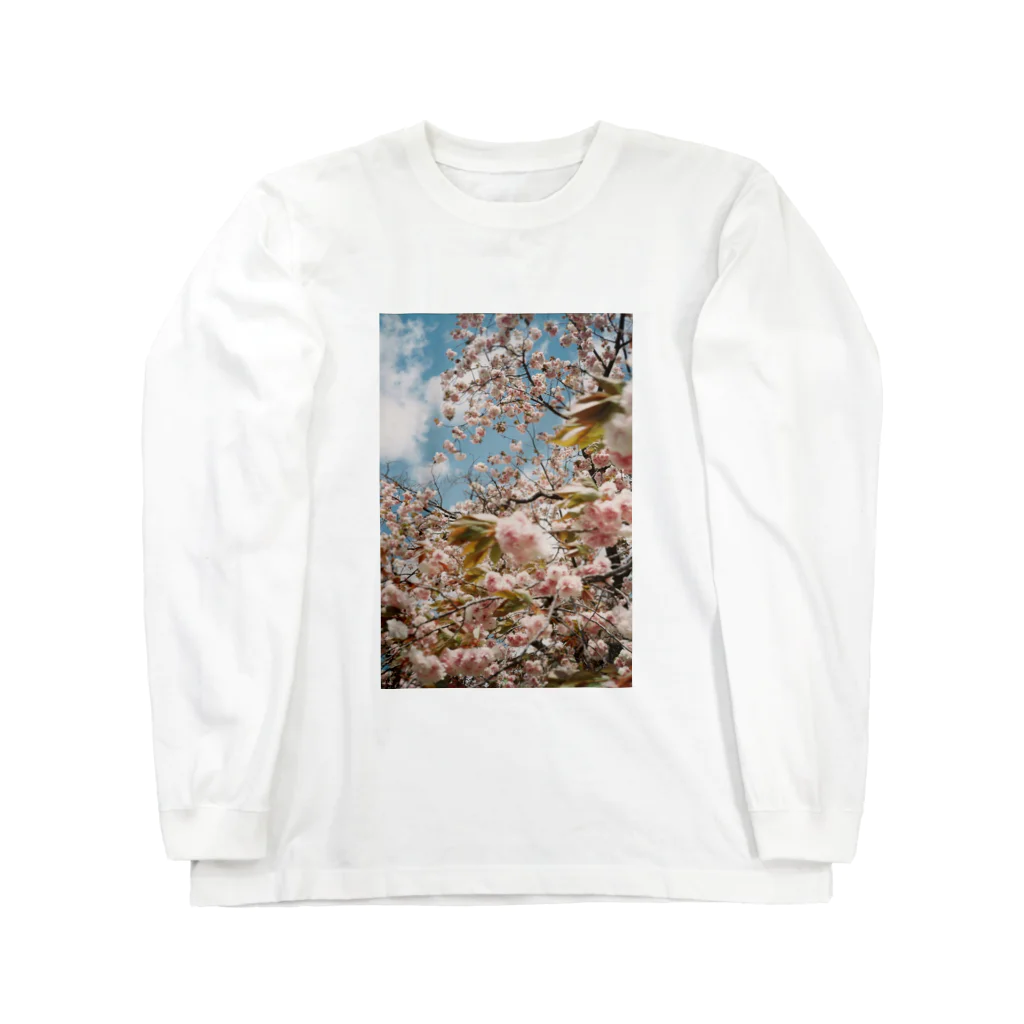 ginga_haraのﾀﾏﾋﾞで撮った桜の写真です ロングスリーブTシャツ