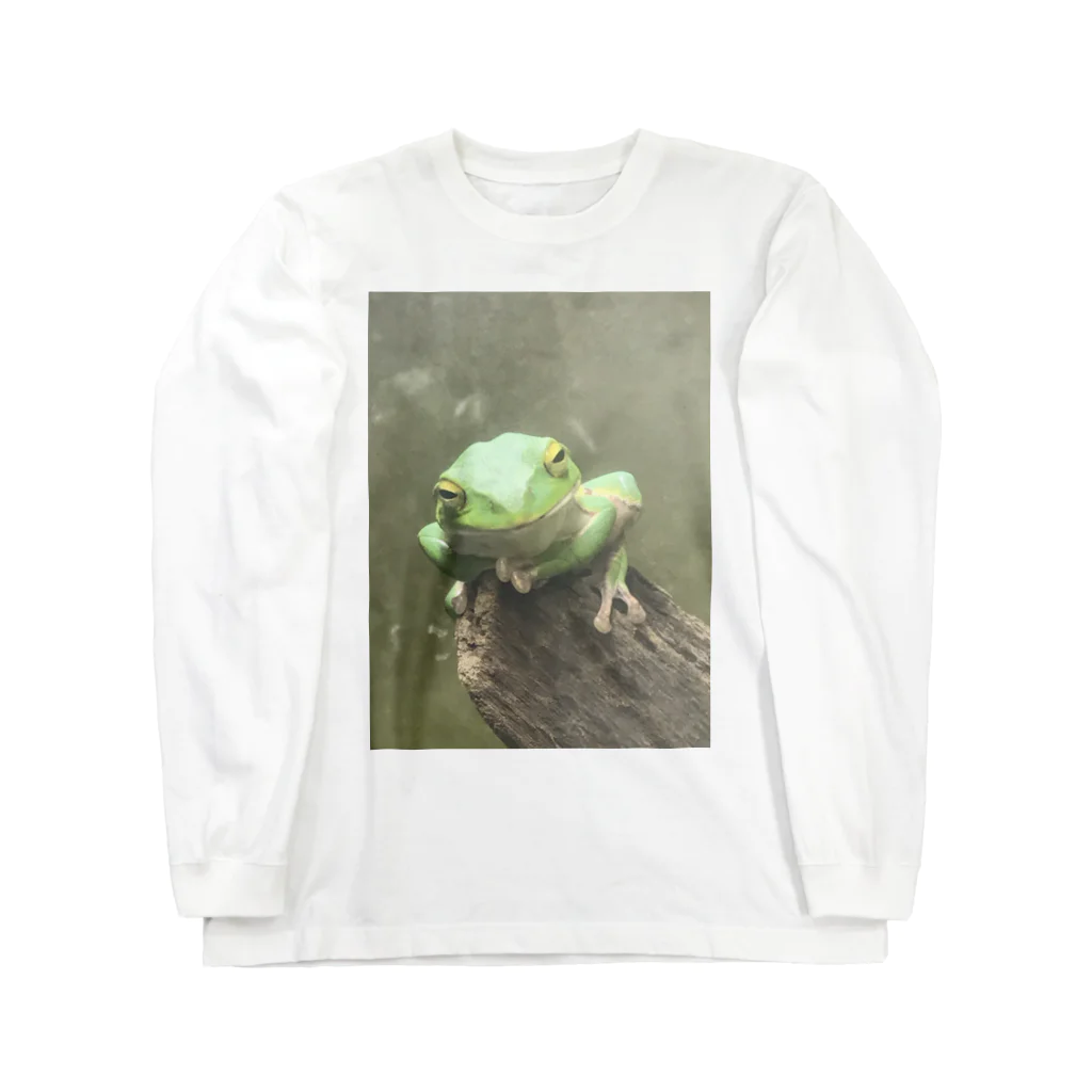 束月ハオルチアのうちの睨むカエル Long Sleeve T-Shirt