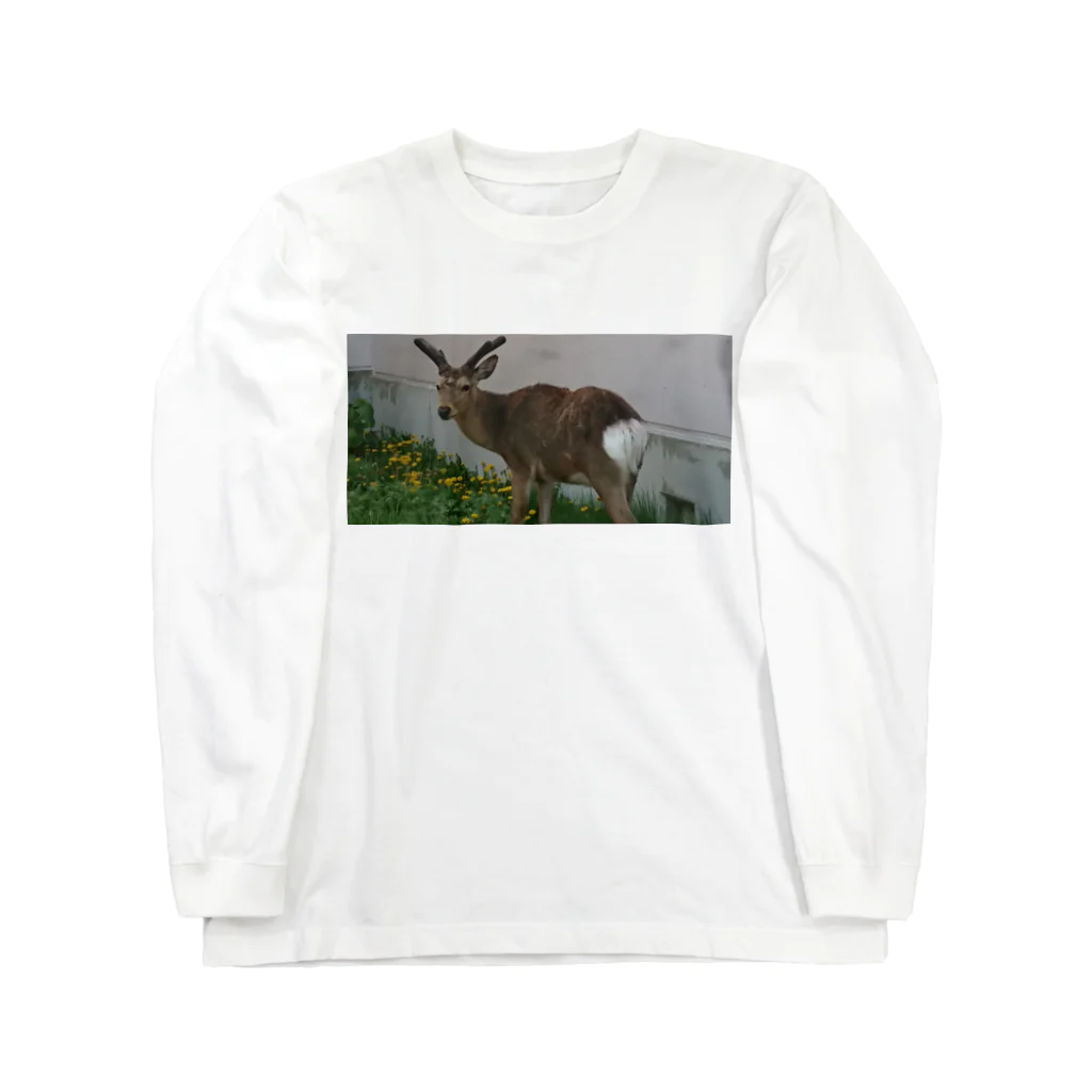 Rin'りんままの北海道根室市の鹿さん Long Sleeve T-Shirt