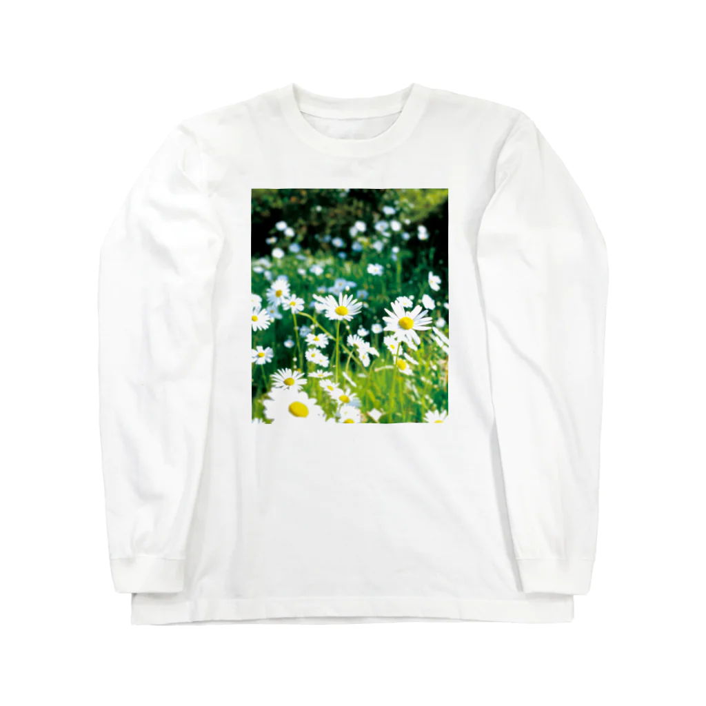 akane_art（茜音工房）の癒しの風景（シャスタデイジー） Long Sleeve T-Shirt