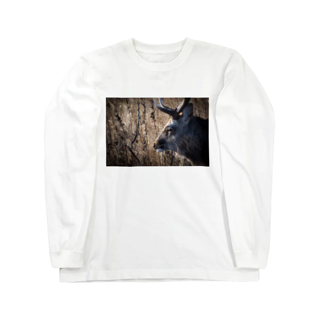 すみれの写真の野付半島に生きる鹿の笑み Long Sleeve T-Shirt