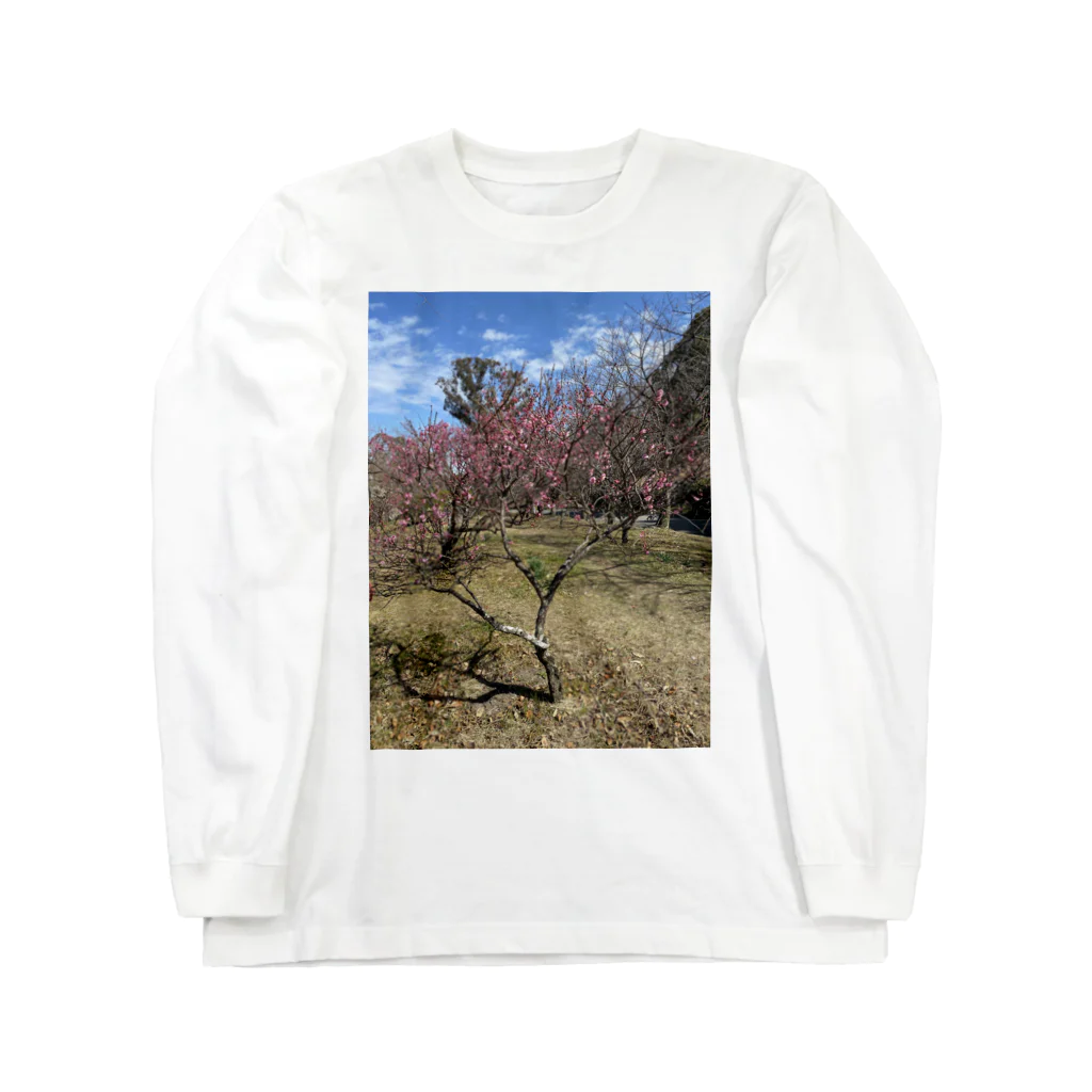 heart-Chanelの梅の花 ロングスリーブTシャツ
