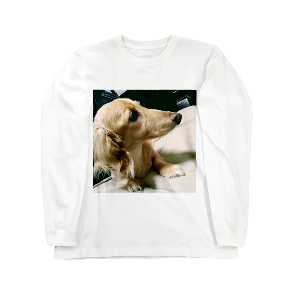 A2機関の一般的な愛犬 ロングスリーブTシャツ