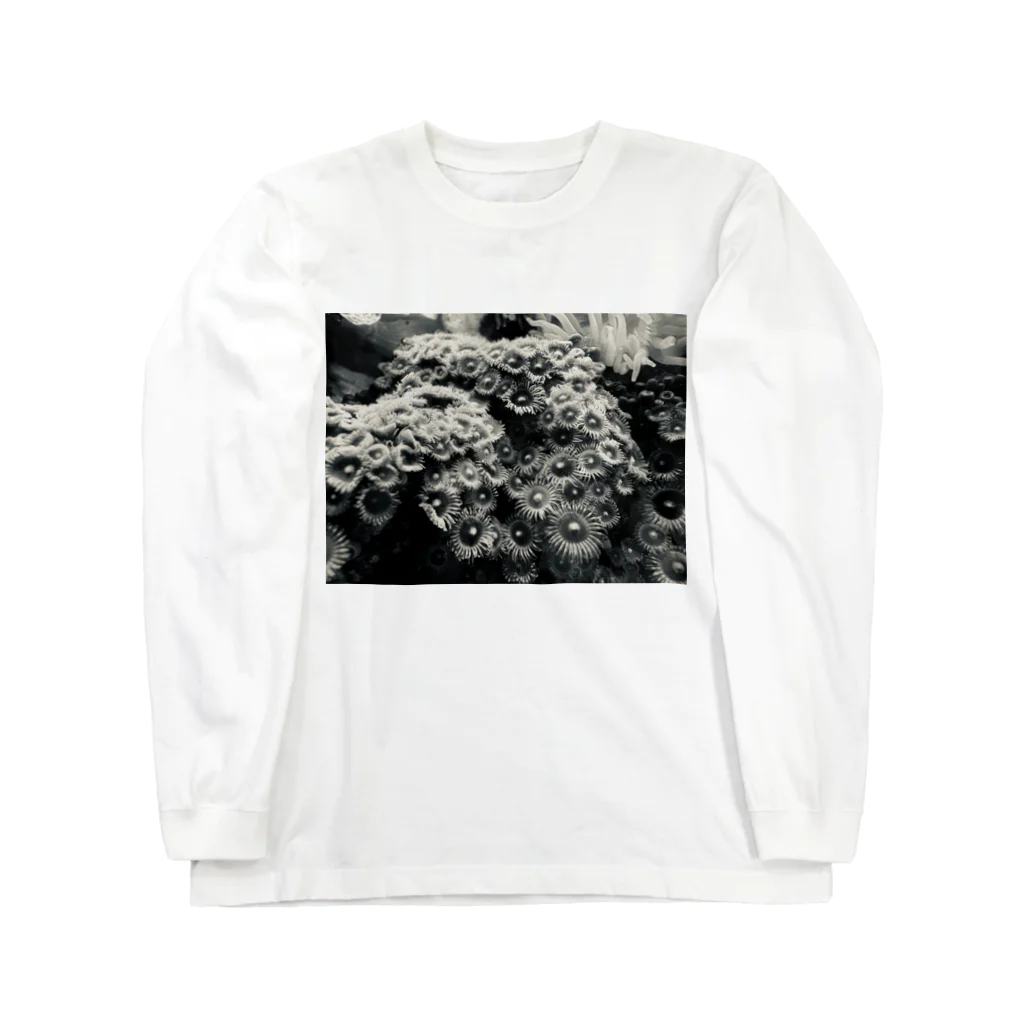 fryfryfryの海のアネモネロングスリーブT Long Sleeve T-Shirt