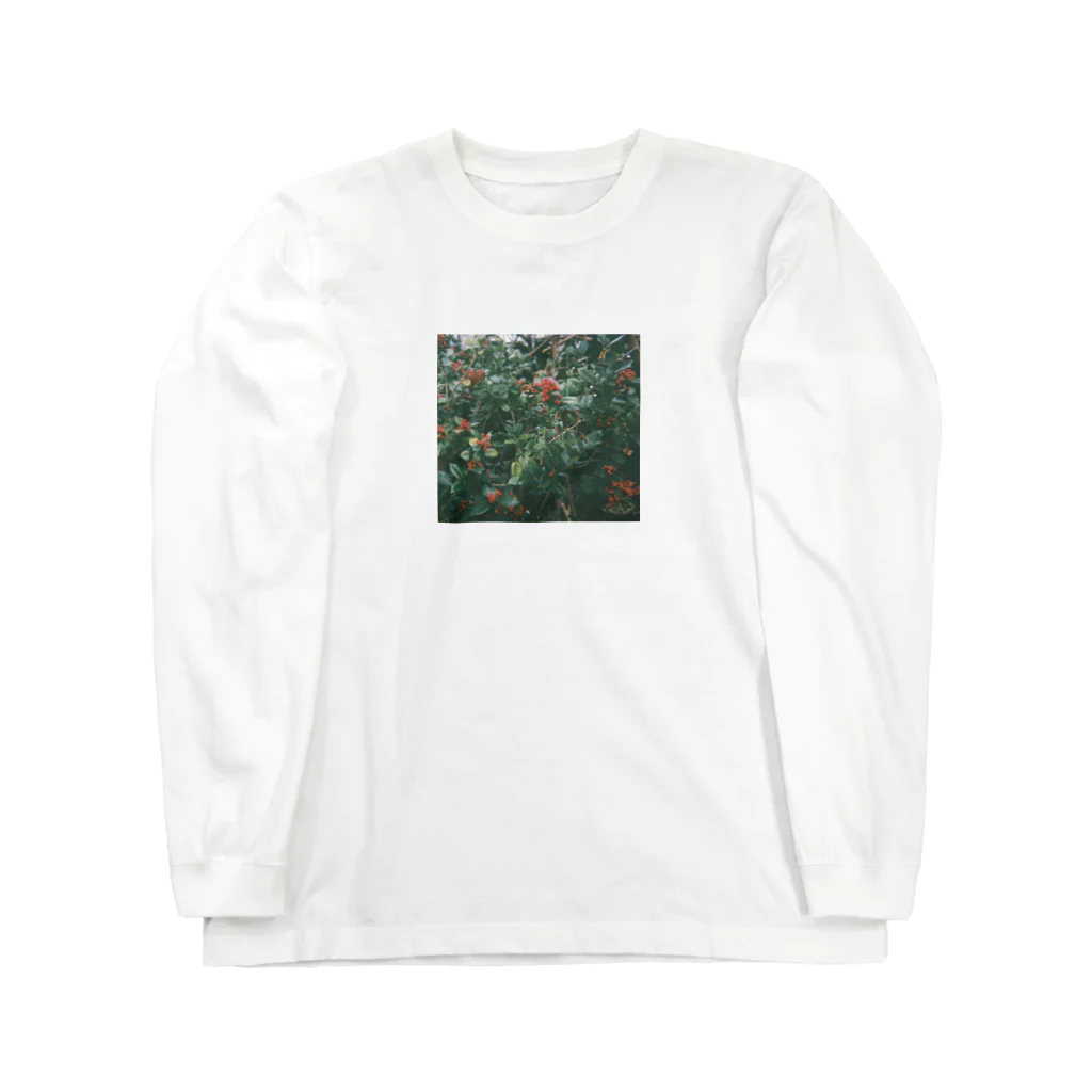 喫茶うすぐもの赤い実 Long Sleeve T-Shirt